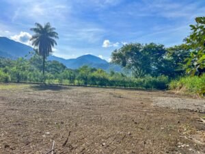 Caracara Ridge Lot #6 Mountain View Lot in Ojochal (7)