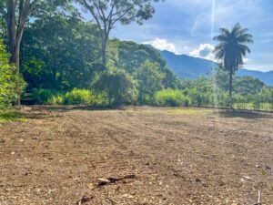 Caracara Ridge Lot #6 Mountain View Lot in Ojochal (8)
