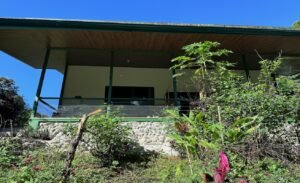 Tropical Regenerative Homestead in Tinamastes Home & Guest Casita (10)