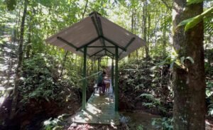 Tropical Regenerative Homestead in Tinamastes Home & Guest Casita (11)