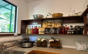 Tropical Regenerative Homestead in Tinamastes Home & Guest Casita (13)