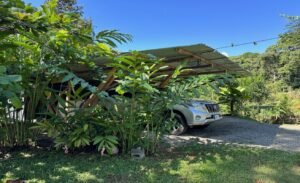 Tropical Regenerative Homestead in Tinamastes Home & Guest Casita (4)