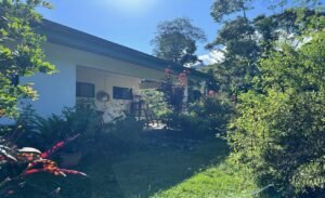 Tropical Regenerative Homestead in Tinamastes Home & Guest Casita (7)