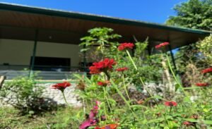 Tropical Regenerative Homestead in Tinamastes Home & Guest Casita (9)