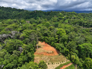 amanda-platanillo-clearing-and-mountain-aerial-06-virtually-edited-master