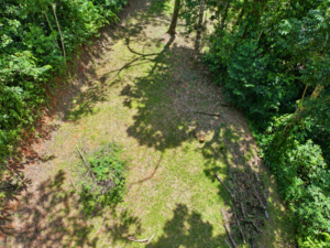 amanda-platanillo-clearing-from-above-20-virtually-edited-master