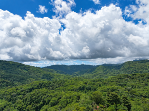 amanda-platanillo-forested-mountain-panorama-03-virtually-edited-master