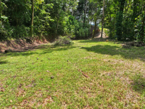 amanda-platanillo-grassy-clearing-18-virtually-edited-master