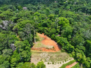 amanda-platanillo-jungle-clearing-aerial-07-virtually-edited-master
