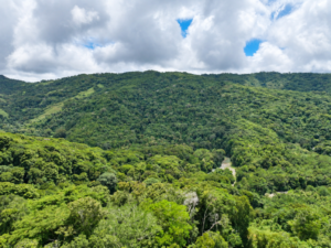 amanda-platanillo-mountain-ridge-aerial-04-virtually-edited-master