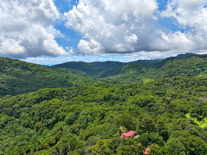 amanda-platanillo-mountain-valley-aerial-view-02-virtually-edited-master
