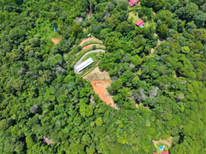 amanda-platanillo-property-context-aerial-05-virtually-edited-master