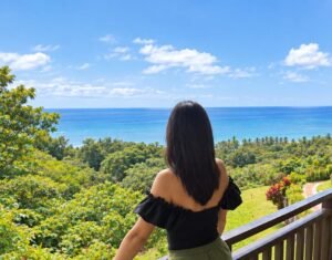 house for sale in costa rica 1 (39.5)