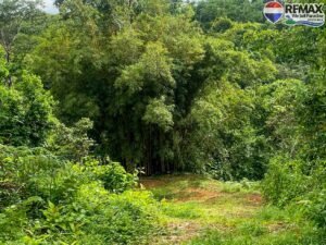 investment land for sale in costa rica 1 (10)