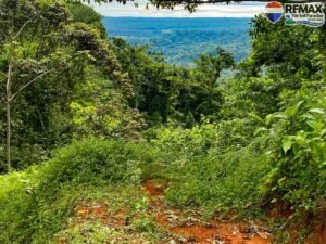 investment land for sale in costa rica 1 (11)