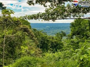 investment land for sale in costa rica 1 (12)