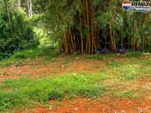 investment land for sale in costa rica 1 (13)