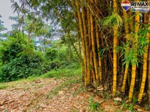 investment land for sale in costa rica 1 (16)