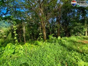 investment land for sale in costa rica 1 (17)