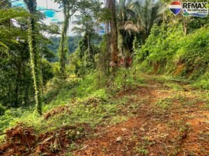 investment land for sale in costa rica 1 (19)