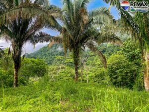 investment land for sale in costa rica 1 (3)