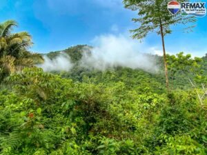 investment land for sale in costa rica 1 (5)