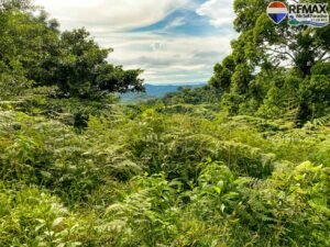 investment land for sale in costa rica 1 (8)